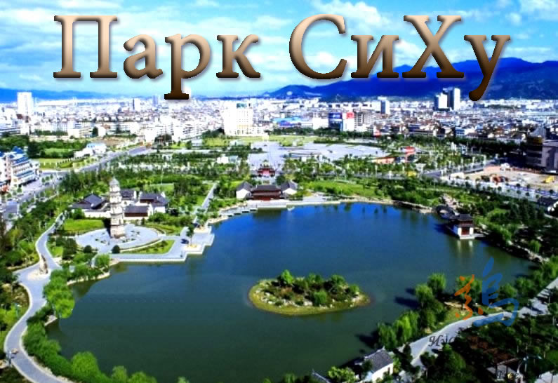 Главная.jpg